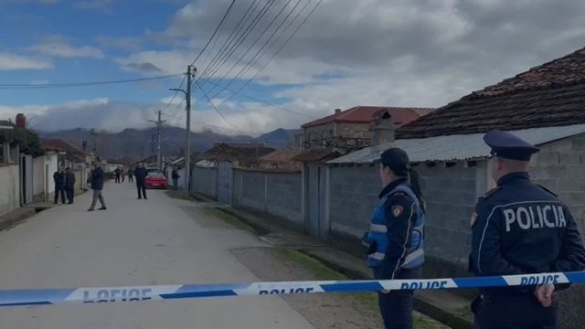 Vet&euml;vrasja e 61-vje&ccedil;arit n&euml; Maliq, detaje t&euml; TRISHTA: 3