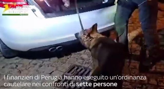 Kokain&euml; me logo &ldquo;Lacoste&rdquo; dhe &ldquo;Ferrari&rdquo;, detajet e