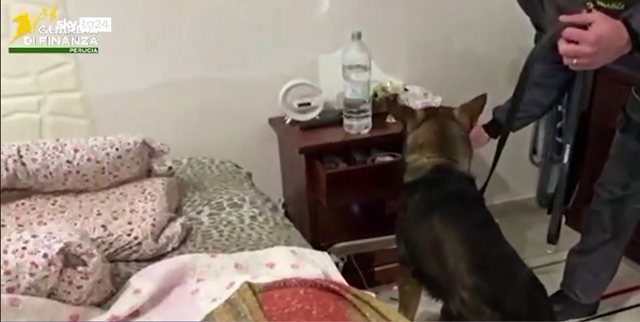 Kokain&euml; me logo &ldquo;Lacoste&rdquo; dhe &ldquo;Ferrari&rdquo;, detajet e