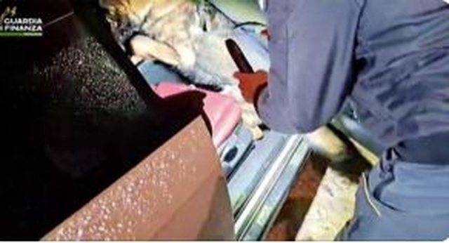 Kokain&euml; me logo &ldquo;Lacoste&rdquo; dhe &ldquo;Ferrari&rdquo;, detajet e