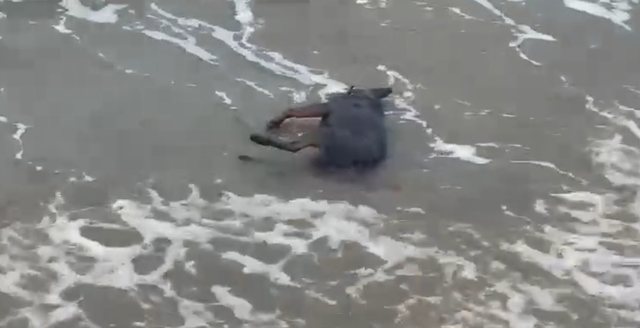 Kush po i vret dhe hedh n&euml; det qent&euml; n&euml; qarkun e Vlor&euml;s?