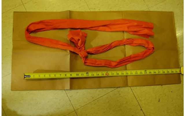 E mbytën apo u vetëvra? Misteret rreth vdekjes së Epstein, mjeku