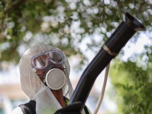 Shkenc&euml;tar&euml;t ngren&euml; alarmin: Nj&euml; s&euml;mundje tropikale