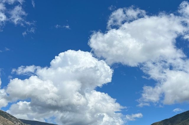 Kthjellime dhe alternime vran&euml;sirash! Parashikimi i motit p&euml;r sot, ja