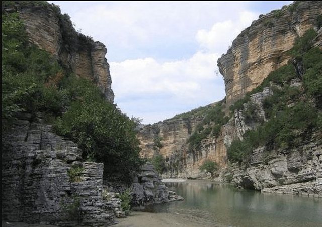 “Po hidhem vëlla”- I dha fund jetës duke u hedhur në