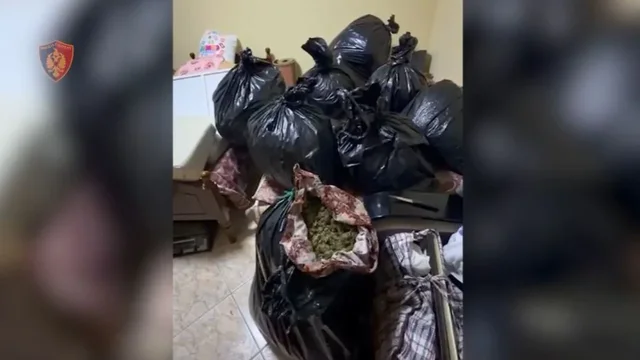 Prodhim dhe shitje lëndësh narkotike, arrestohen dy persona në