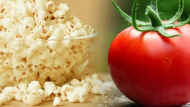 Shkencëtarët bëjnë ‘magji’ në laborator,