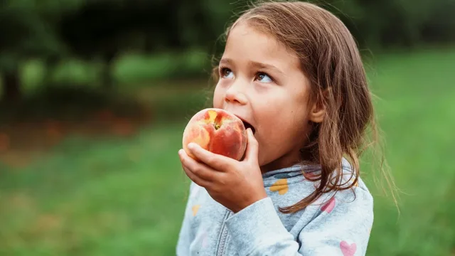 Dieta e pashëndetshme në moshë të hershme lë pasoja