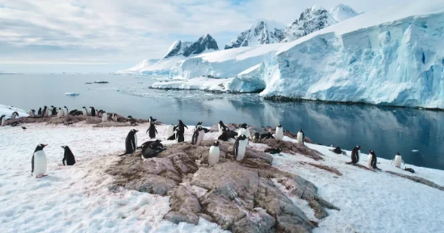 Dy skenar&euml; p&euml;r fatin e Antarktik&euml;s, &ccedil;far&euml; mund
