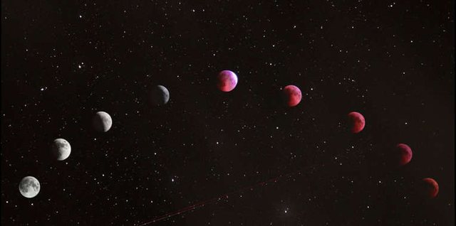 Matematika thotë se jeta nuk duhet të ekzistojë,