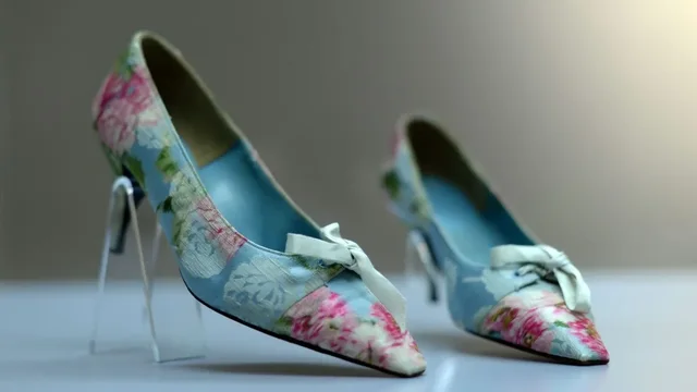 Një libër për jetën e francezit Roger Vivier, i cili