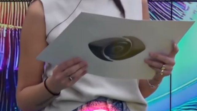 &Ccedil;far&euml; roli ka publiku? Rikthehet DASMA n&euml; BBVip, zbuloni