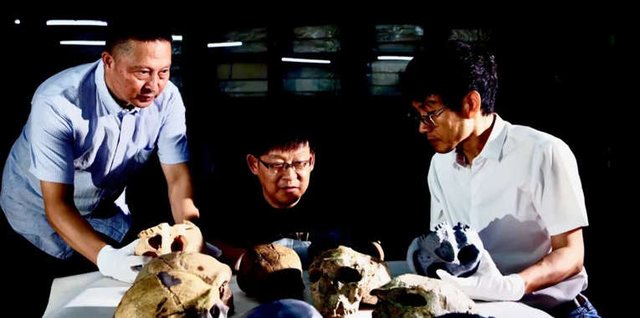 “Zbulim i jashtëzakonshëm në Kinë: Një kafkë