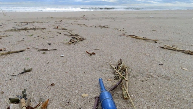 &ldquo;Kriza klimatike po ndryshon thell&euml;sisht detin, shoq&euml;rit&euml;