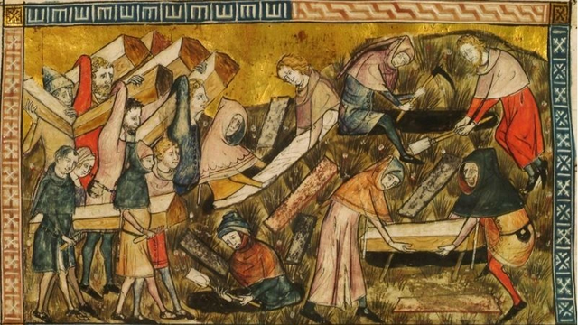 Hulumtim i ri: Murtaja e Zez&euml; uli biodiversitetin e bim&euml;ve n&euml;