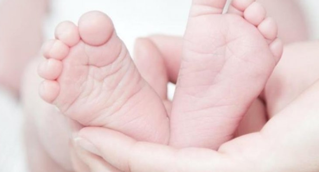 Pse t&euml; porsalindurit nuk kan&euml; lot ose djers&euml;?