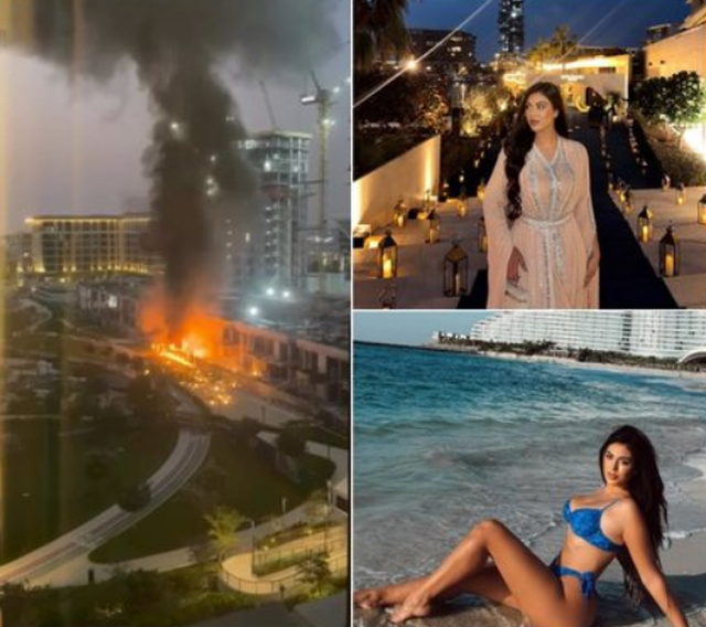 Nga vajza e ish-deputetes te Kejsi Tola e Alesia Bami, kush jan&euml; VIP-at