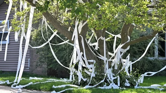 Nj&euml; shaka e thjesht&euml; me let&euml;r higjienike p&euml;rfundon n&euml;