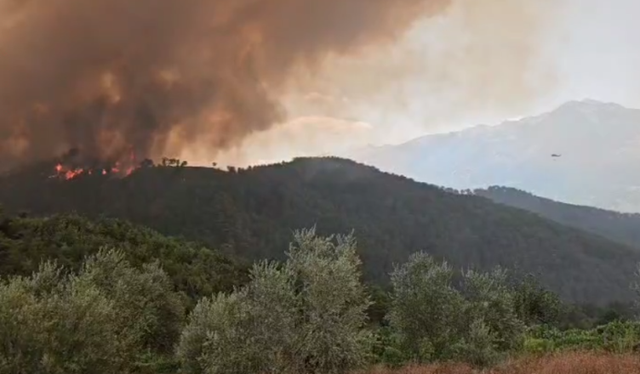 Zjarri masiv përfshin një sipërfaqe pyjore pranë fshatit