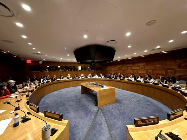 &ldquo;Barazia gjinore&rdquo; prezantohet n&euml; OKB, ministrja Sala: Drejt