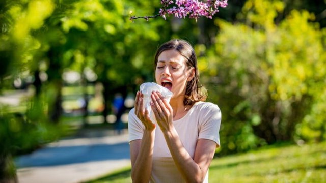 Alergjit&euml; e pranver&euml;s po rikthehen! Si t&euml; parandaloni simptomat
