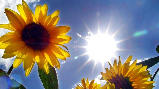 Ekuinoksi i Pranver&euml;s: Kur &euml;sht&euml; Dita e Par&euml; e