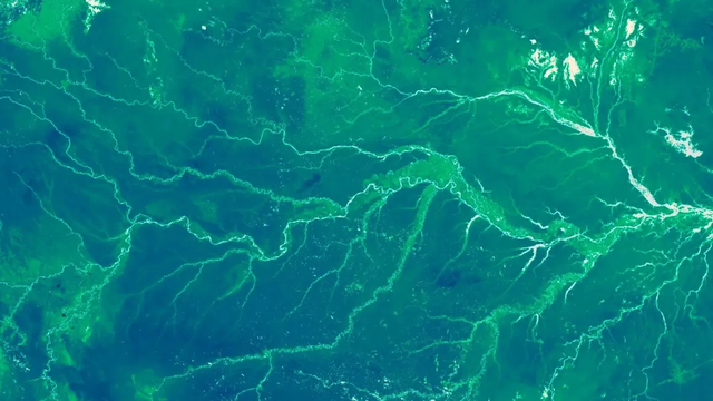 Shkenc&euml;tar&euml;t kan&euml; &ldquo;peshuar&rdquo; bim&euml;sin&euml; e