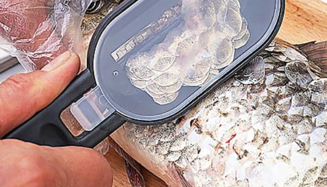 Studimi n&euml; Spanj&euml;: Luspat e peshkut, nj&euml; zgjidhje e re p&euml;r