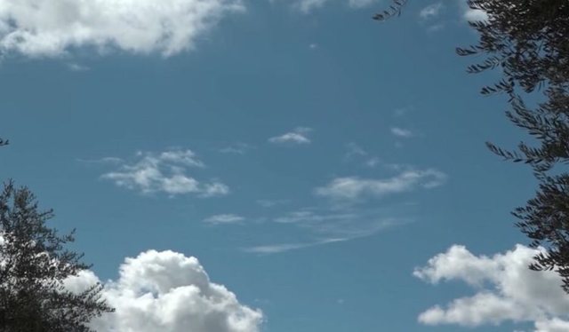 Kthjellime gjatë ditës, parashikimi i motit për ditën e