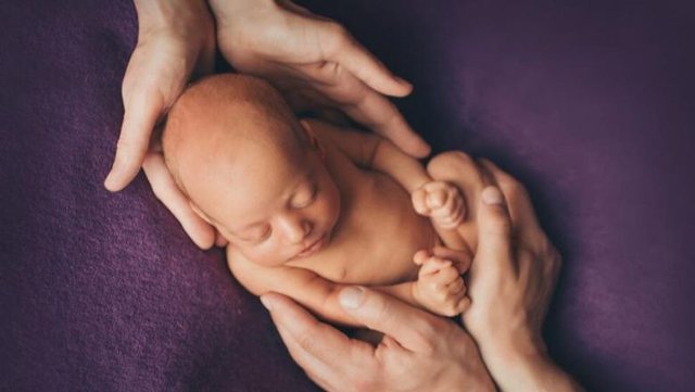 Bie me 35% numri i lindjeve brenda një dekade në Shqipëri, shkak