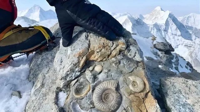 Zbulimi i JASHT&Euml;ZAKONSH&Euml;M n&euml; maj&euml;n m&euml; t&euml;