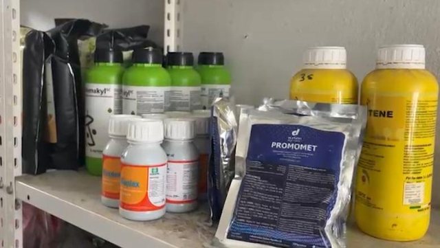 &Ccedil;mimi i plehrave kimik&euml; rritet me 1400 lek/kuintal brenda muajit,