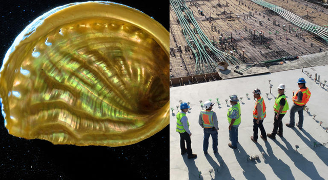 &ldquo;Zbulimi q&euml; mund t&euml; revolucionarizoj&euml; nd&euml;rtimin,