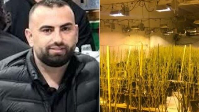 Iu gjet&euml;n 4 mij&euml; bim&euml; kanabisi n&euml; banes&euml;,