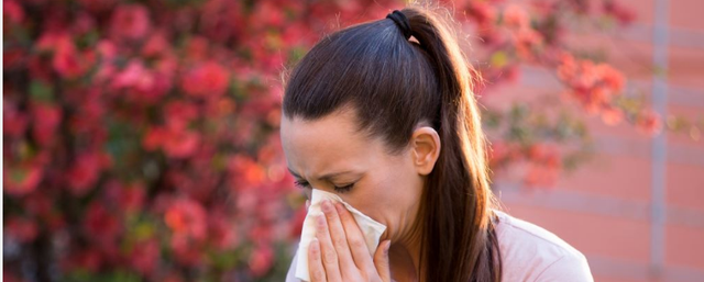 P&euml;rmir&euml;simi i motit ka &ldquo;ngjallur&rdquo; alergjit&euml;