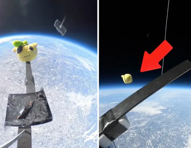 Kafsha prej pelushi hidhet nga stratosfera e Tokës