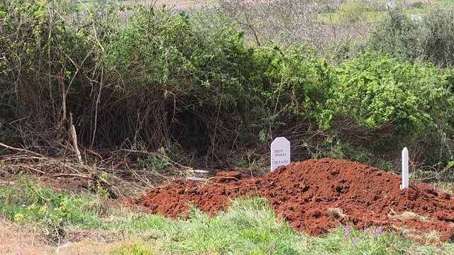 Vrau bashk&euml;shorten dhe m&euml; pas veten, varroset n&euml; heshtje