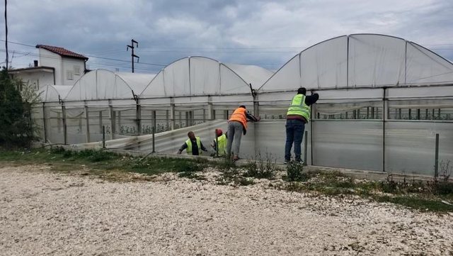 Tension në Dimal, IMT ndërhyn për prishjen e serës, fermeri: