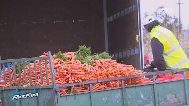 &ldquo;Lufta n&euml; Iran, k&euml;ta rrit&euml;n &ccedil;mimet&rdquo;,