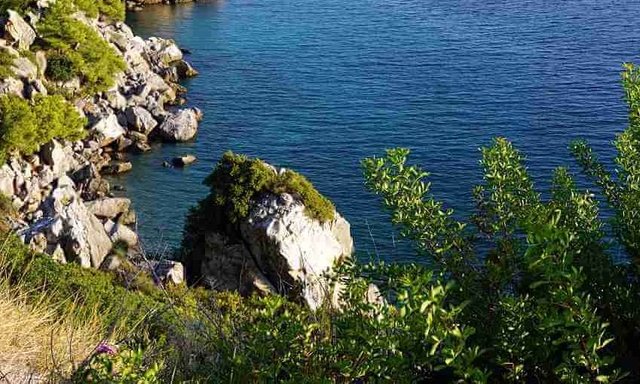 HORROR n&euml; resortin luksoz n&euml; Greqi! Gjenden brenda nj&euml; valixheje