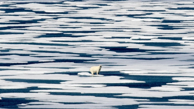 Shkrirja e akullit n&euml; detin Arktik arrin nivelin m&euml; t&euml; ul&euml;t