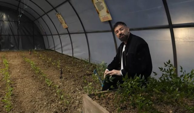 “Kam punuar me bimët…”/ Hyrja ndryshe e Elvis