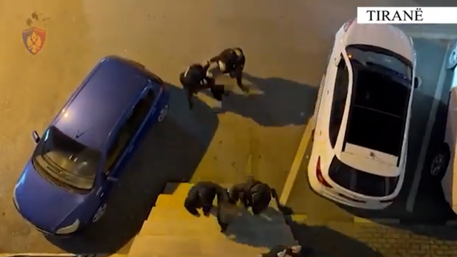 Tiran&euml;/ Donte t&euml; shiste nj&euml; pistolet&euml;, arrestohet