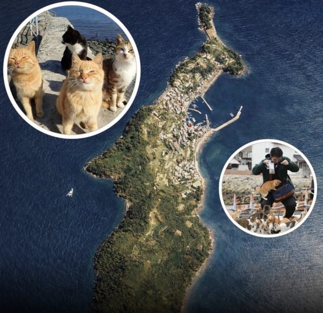 Ishulli ku sundojn&euml; macet: Vet&euml;m 20 banor&euml; p&euml;rball&euml; mbi