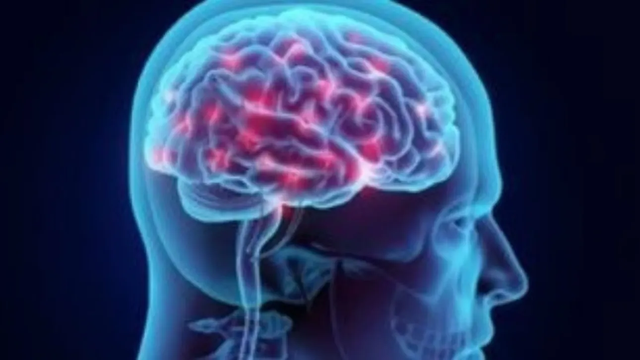 Studimi i ri: Nivelet e larta t&euml; vitamin&euml;s D mund t&euml; ulin