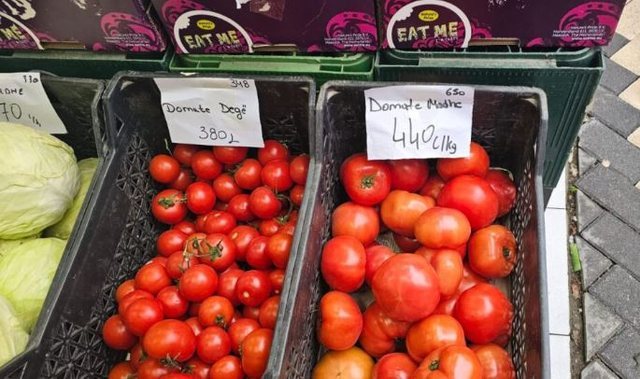 &Ccedil;'po ndodh n&euml; Shqip&euml;ri? "&Ccedil;menden"