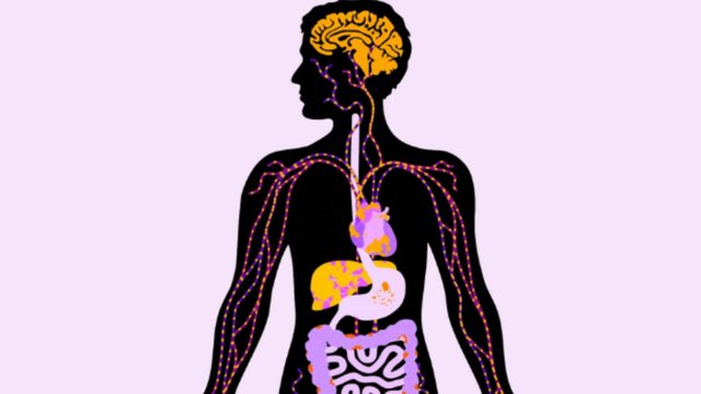 HABIT studimi, konsumi i tepërt i sheqerit po dëmton organet