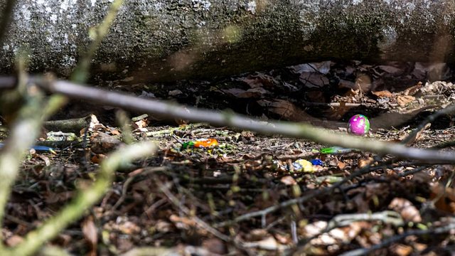 Tragjedi në festën e Pashkëve në Gjermani/ Pema