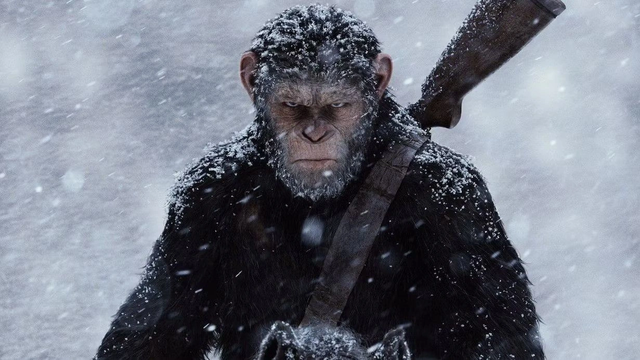 VIDEO/ Shtat&euml; filma q&euml; nuk e dinit kurr&euml; se ishin bazuar n&euml;