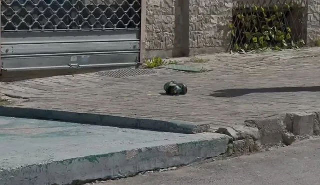 Sherr mes t&euml; rinjve n&euml; Kor&ccedil;&euml;, goditen me grushte dhe sende